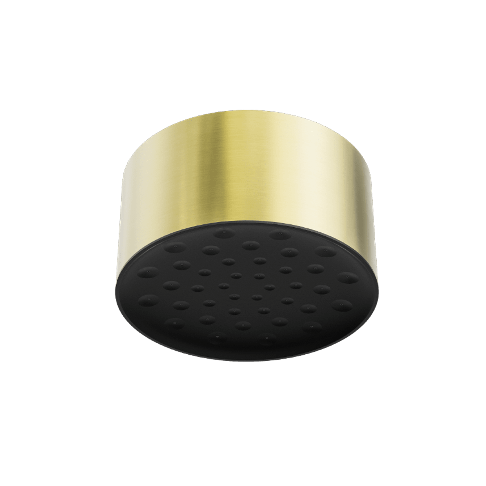 Serenity Ceiling Shower Head Brushed Gold gallery detail image