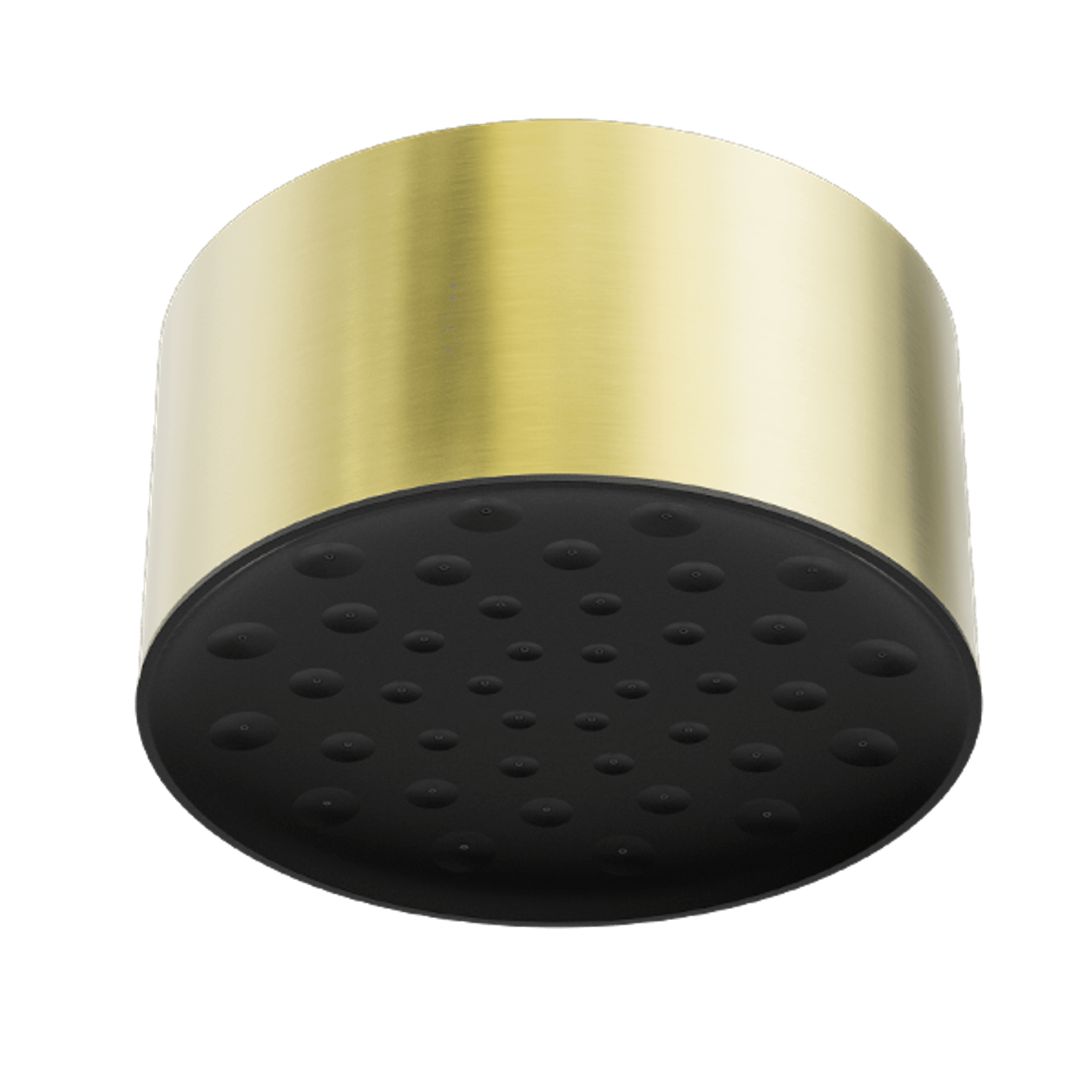 Serenity Ceiling Shower Head Brushed Gold gallery detail image