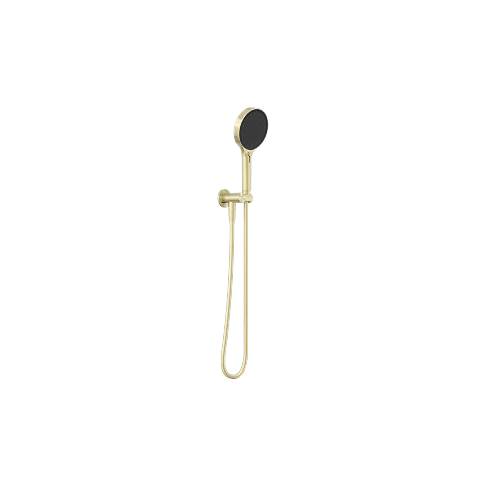 Serenity Hand Held Shower Brushed Gold gallery detail image