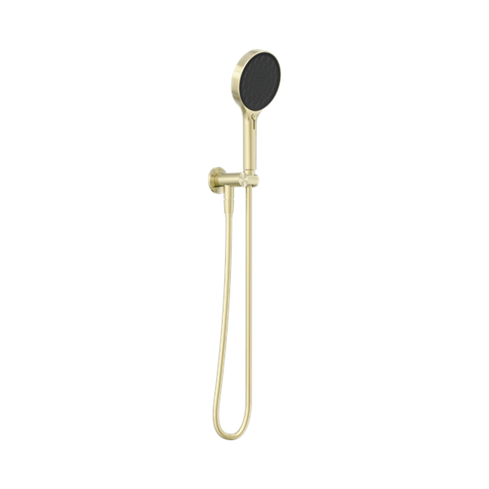 Serenity Hand Held Shower Brushed Gold gallery detail image