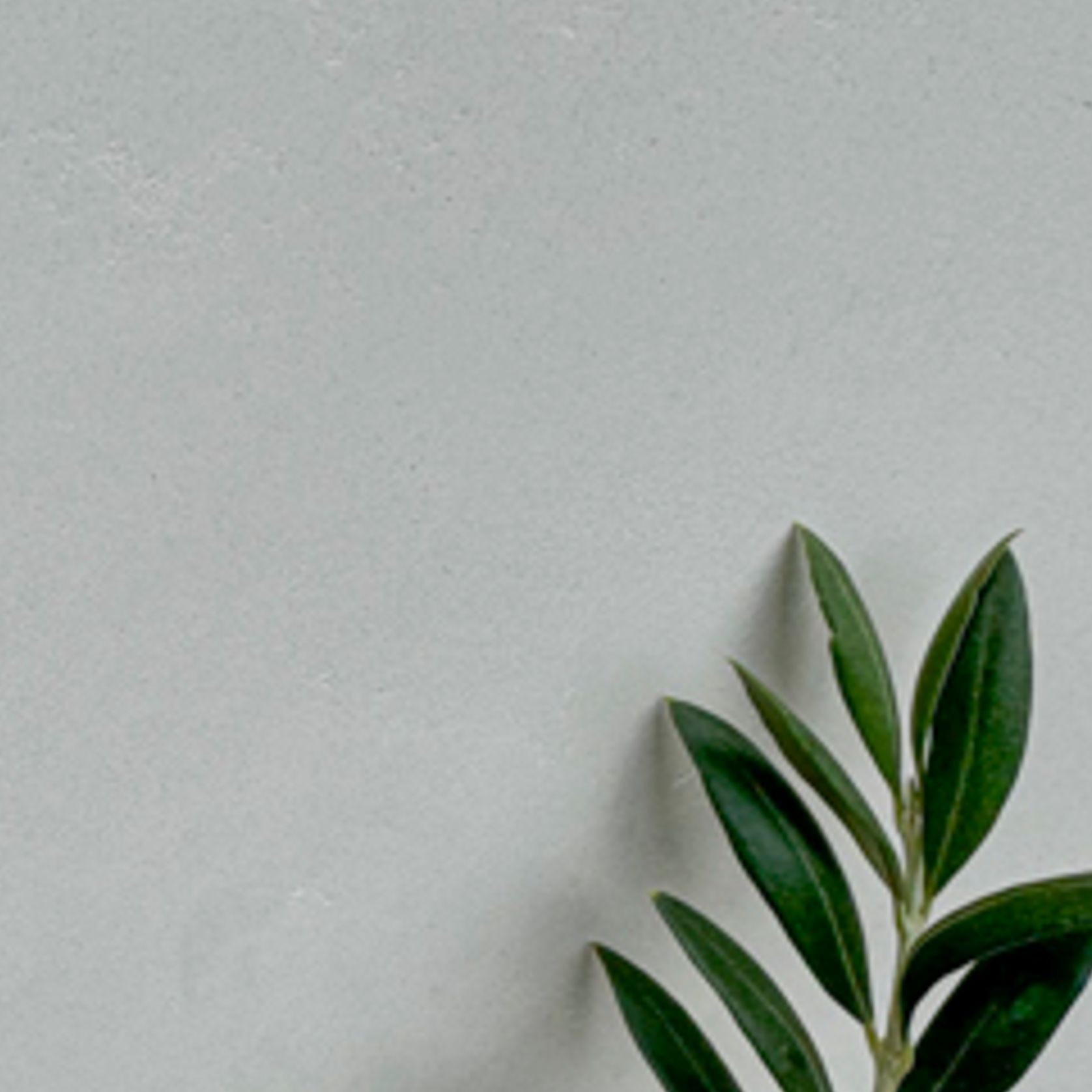 Mineral Paint | Apollo Grey gallery detail image