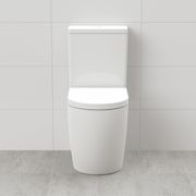 Argent Vista HygienicFlush + Odourless by Expella gallery detail image