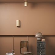 Cylinder Ceiling Light gallery detail image