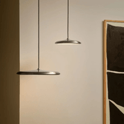 Artist 40 Pendant gallery detail image