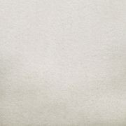 2613 gallery detail image