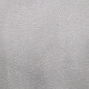 2613 gallery detail image