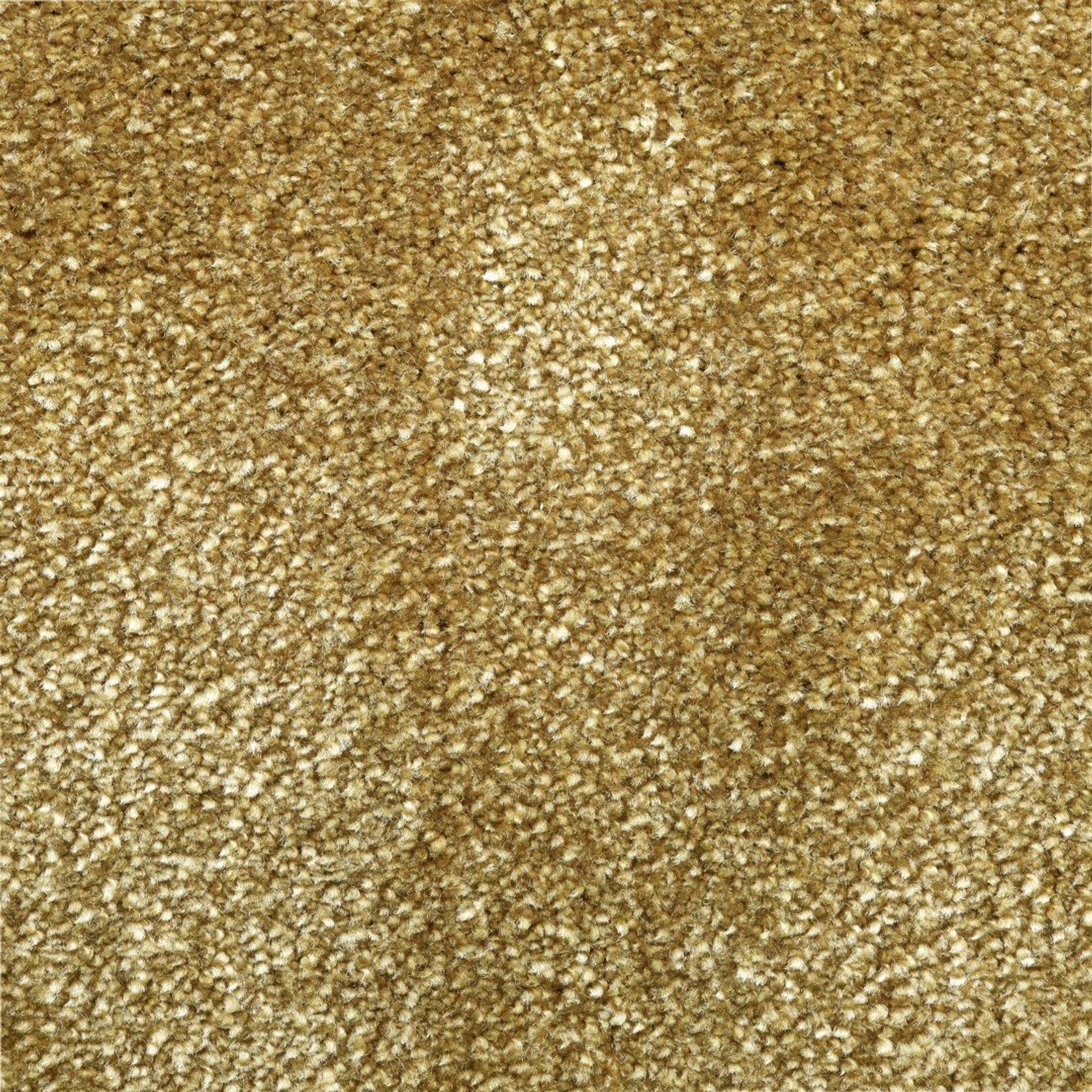 2615 gallery detail image