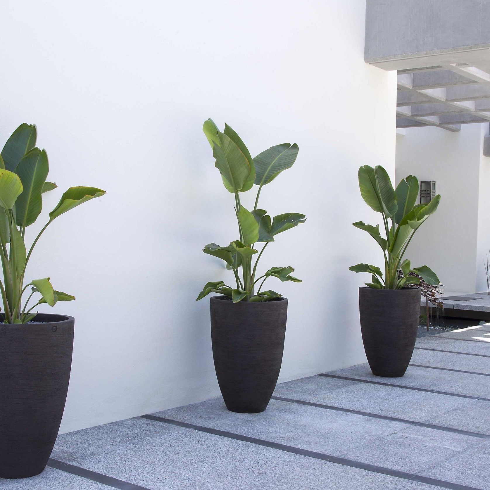 AH gallery detail image