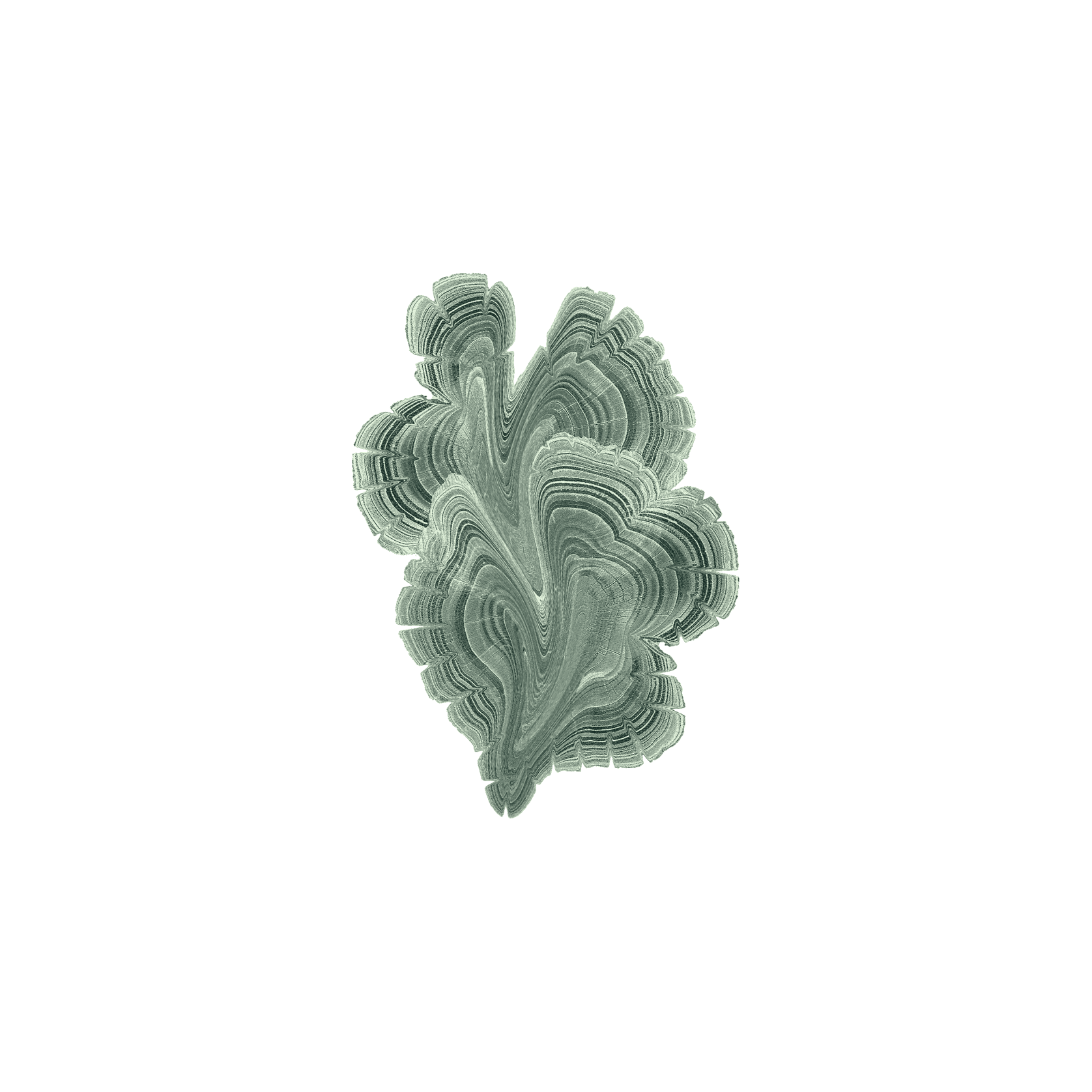 Forest Floor gallery detail image