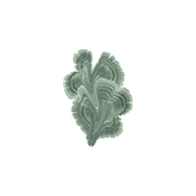 Forest Floor gallery detail image