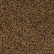 3805 gallery detail image