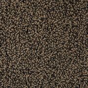 3805 gallery detail image