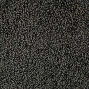 3805 gallery detail image