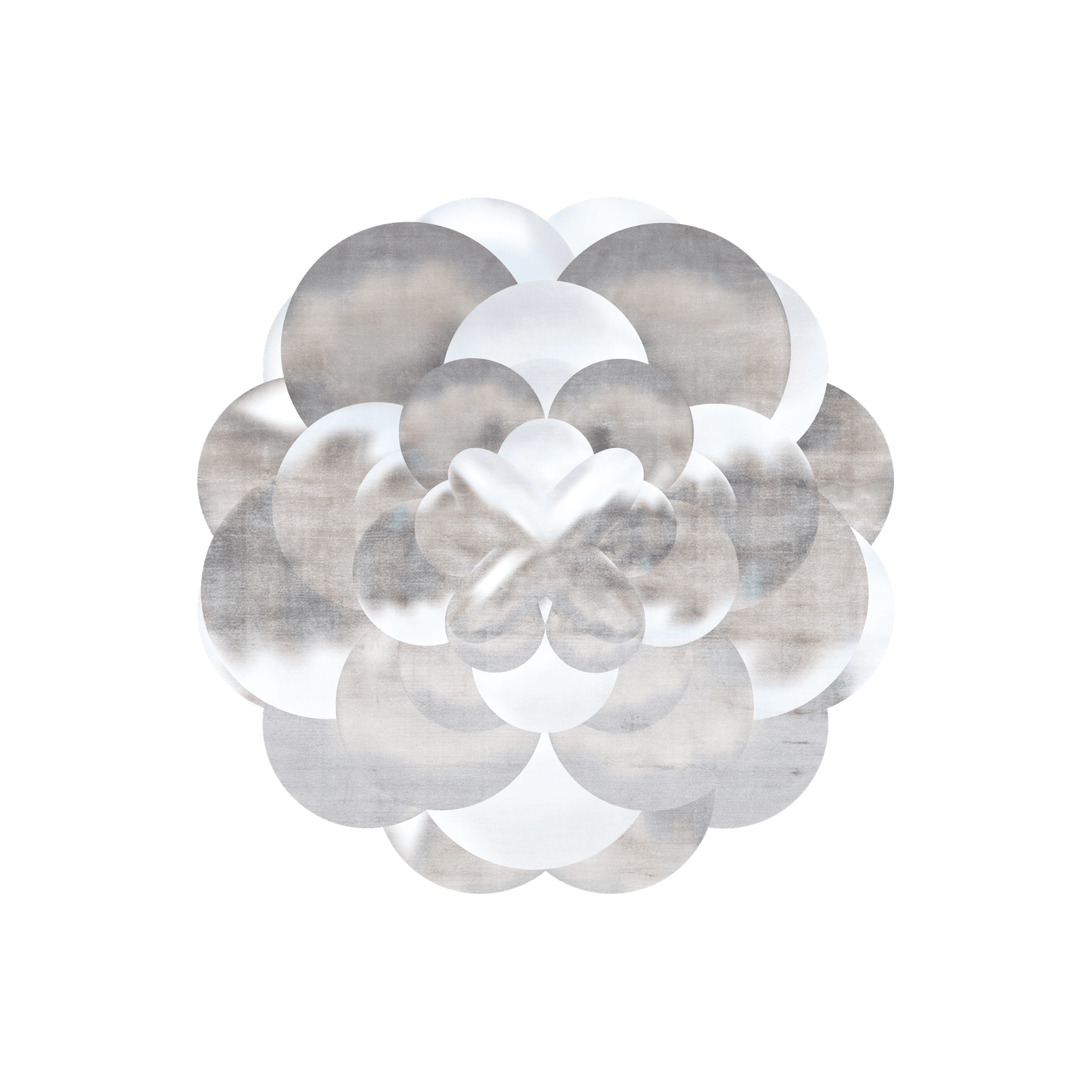 3D Bloom gallery detail image