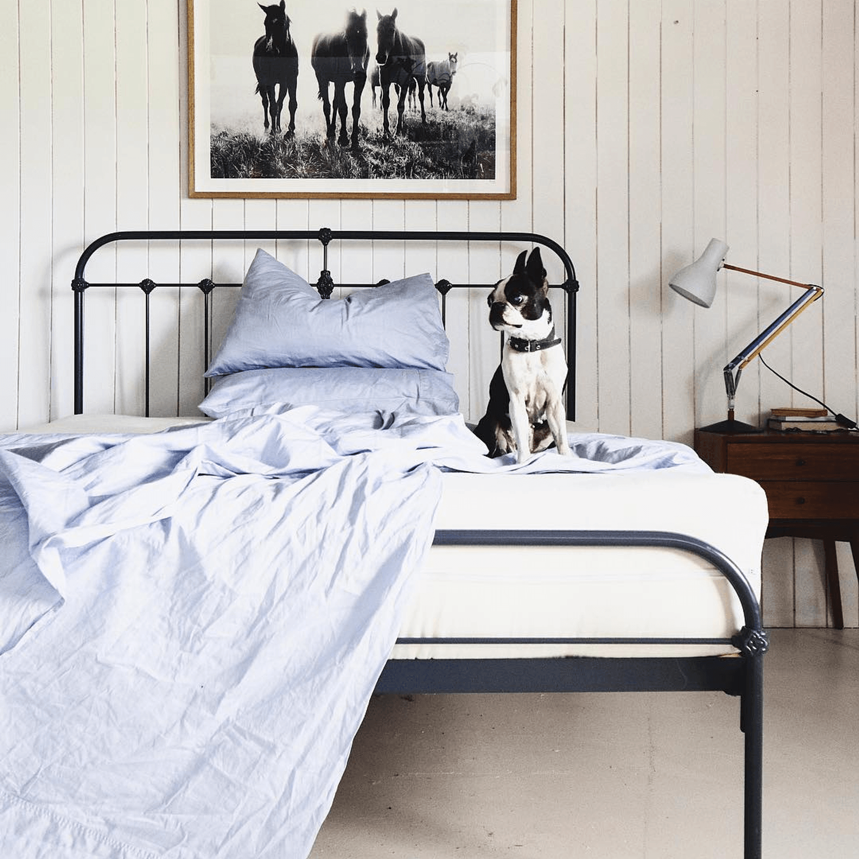 Dreamer | Mattress gallery detail image