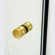 Covey Wall To Wall Frameless Hinge Door Brushed Gold gallery detail image