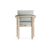 Luca Dining Arm Chair w/Teak gallery detail image