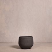 Hibernate NoMud 86 Degrees | Char gallery detail image