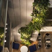 Green Walls | GreenAir gallery detail image
