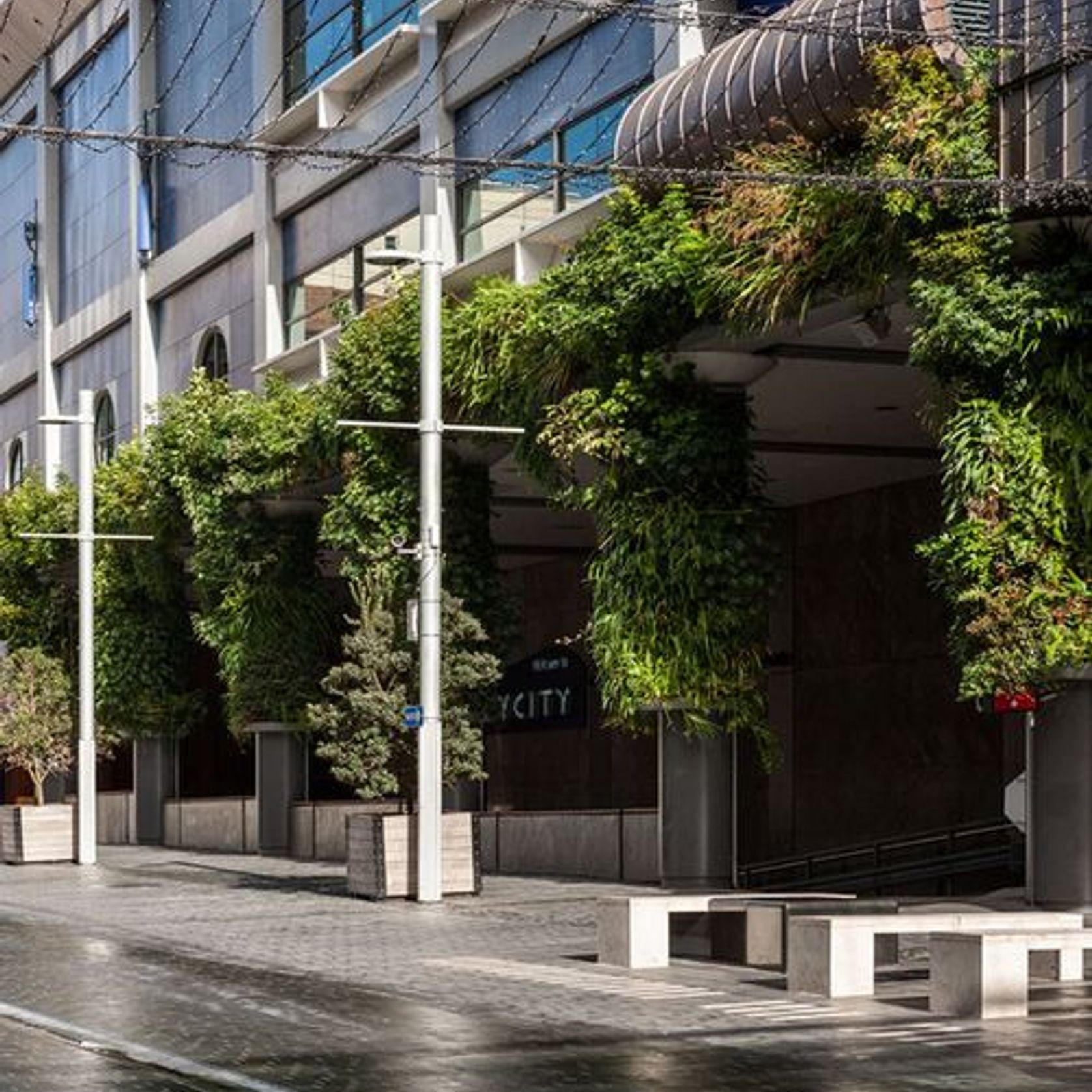 Green Walls | GreenAir gallery detail image