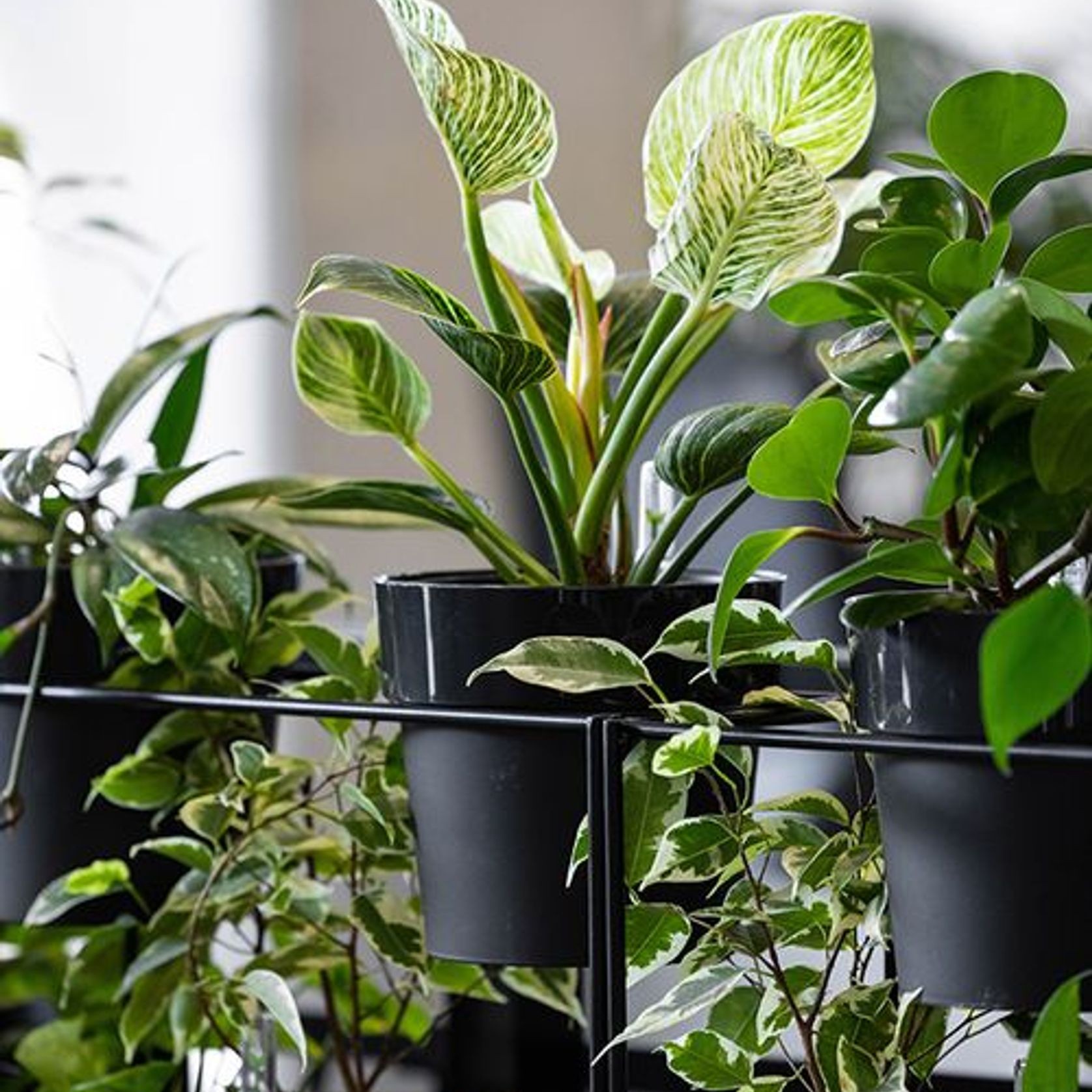 Stacked Plant Systems | GreenAir gallery detail image