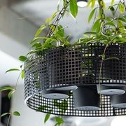 Suspended Plantscapes | GreenAir gallery detail image