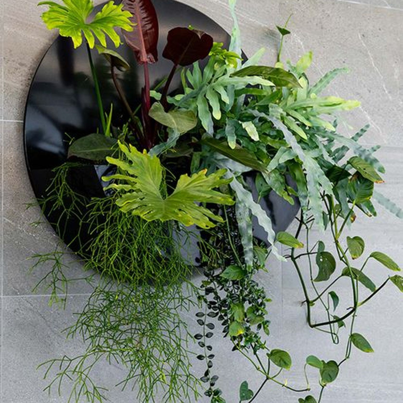 Wall Solutions | GreenAir gallery detail image