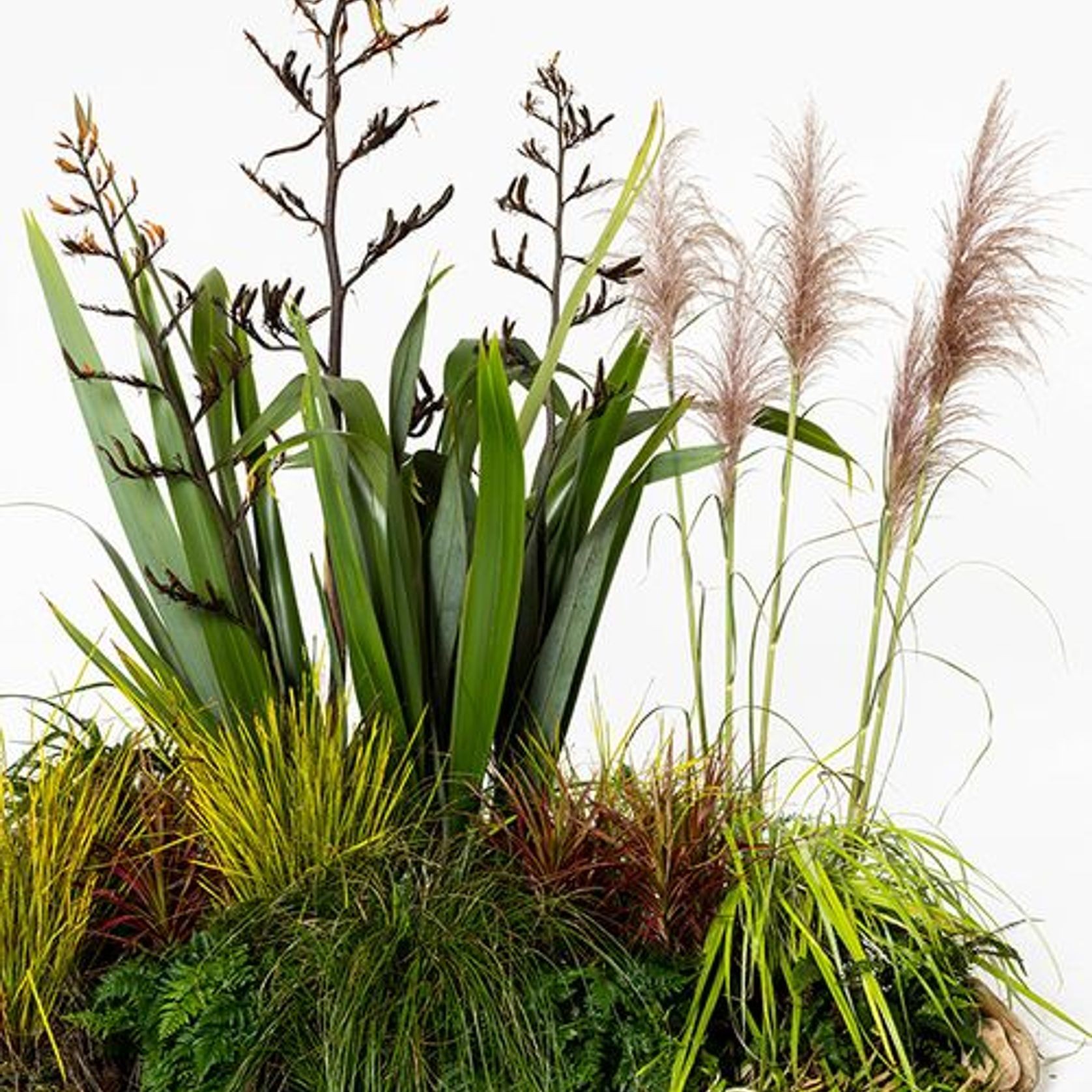 Event Plant Hire | GreenAir gallery detail image
