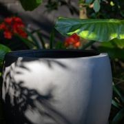 Franoma - Amarillo Planter gallery detail image