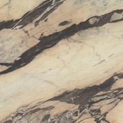 Arabescato Rosa | Marble gallery detail image