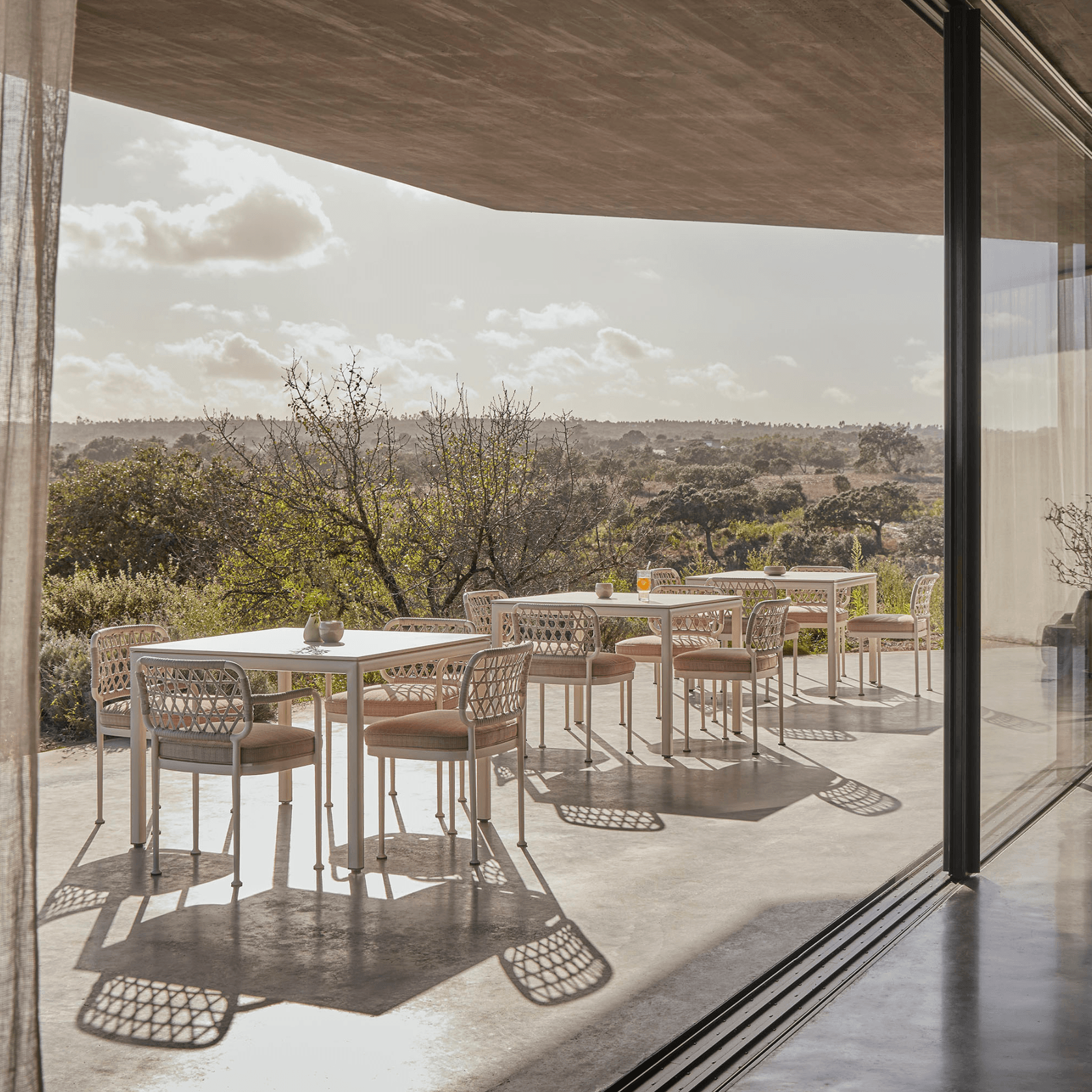 Curio Dining Chair gallery detail image