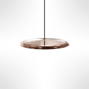 Artist 40 Pendant gallery detail image