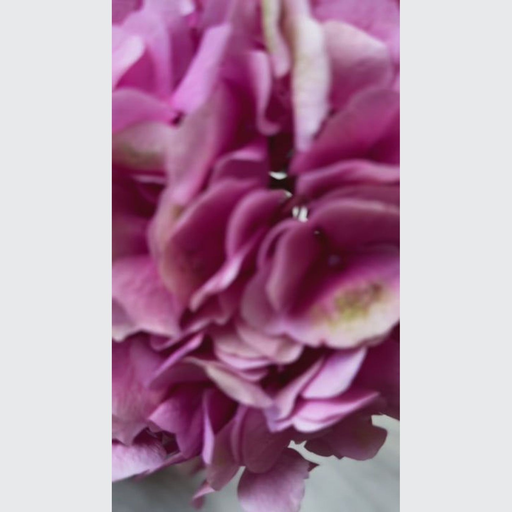 Round Cross Side Table - Carrara Marble | Natural Stone Co. gallery detail image