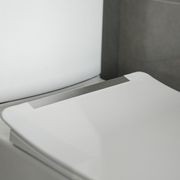 Acovi Back to Wall Toilet Suite gallery detail image