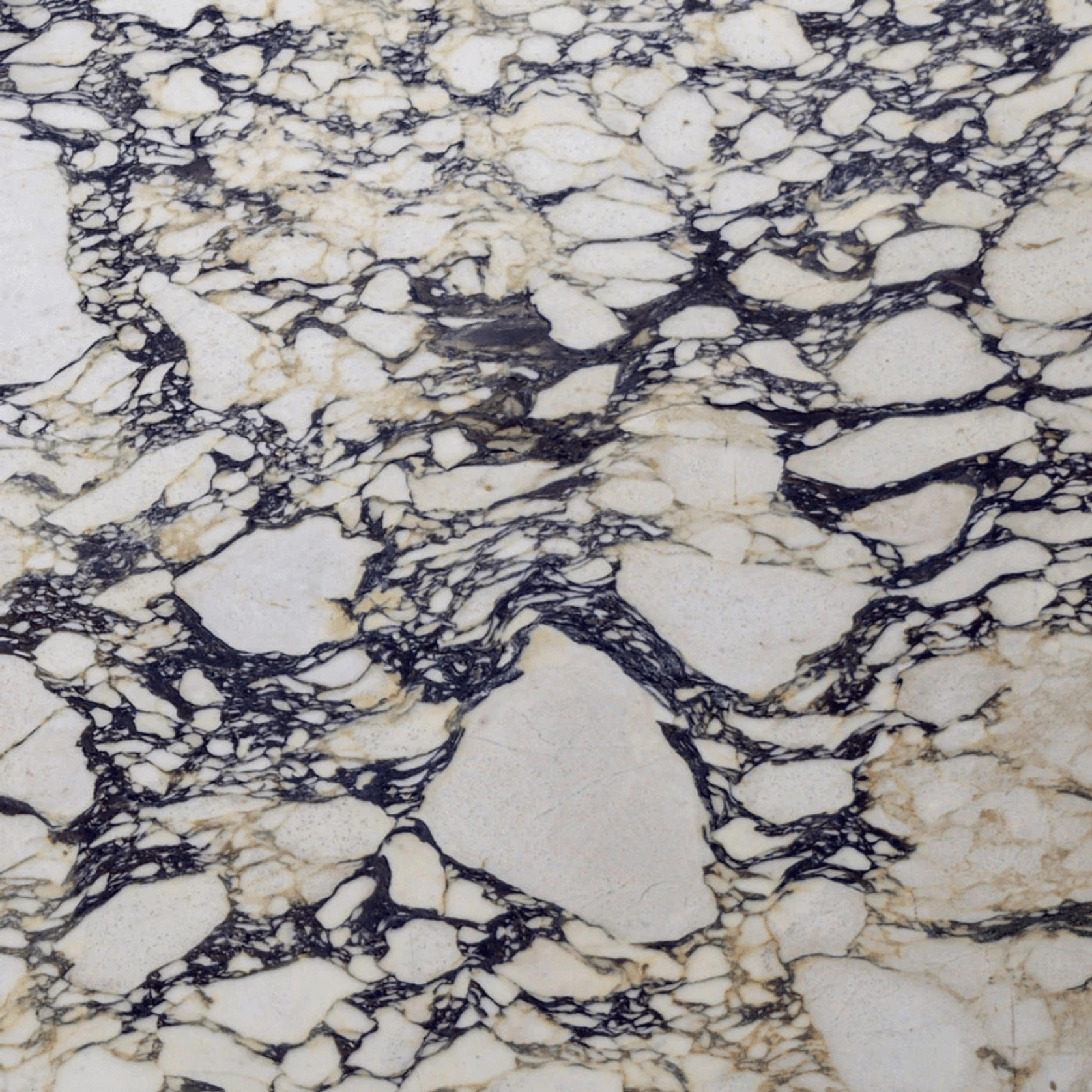 Block Coffee Table - Viola Calacatta Marble gallery detail image