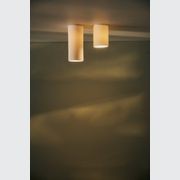 Dusked Eos - Ceiling gallery detail image