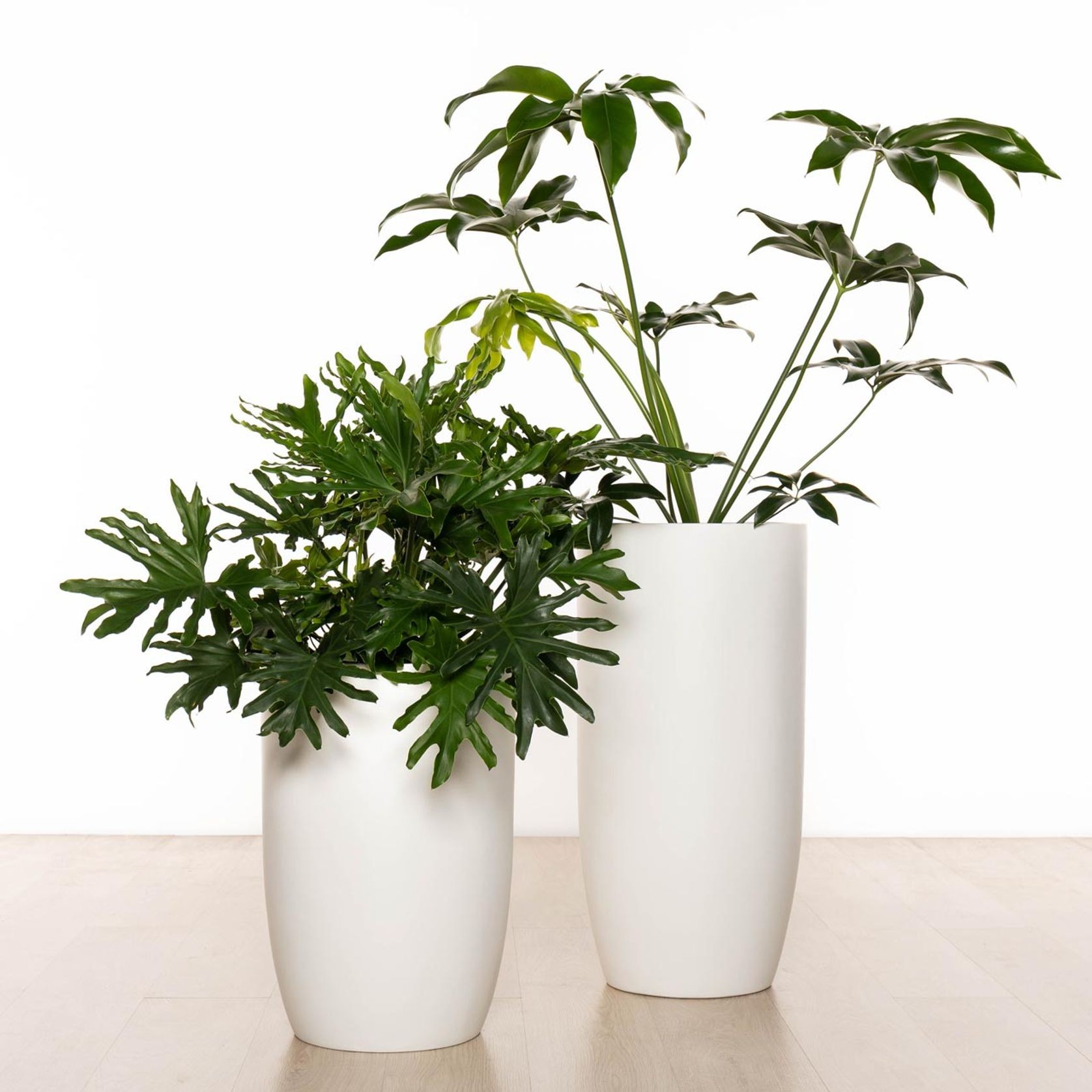 Alderley Vase gallery detail image