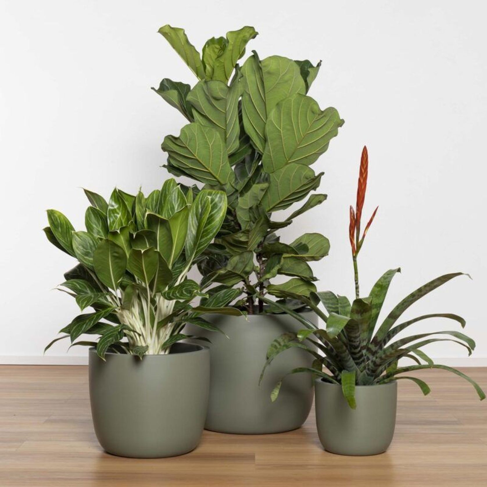 Alesund U Cup gallery detail image