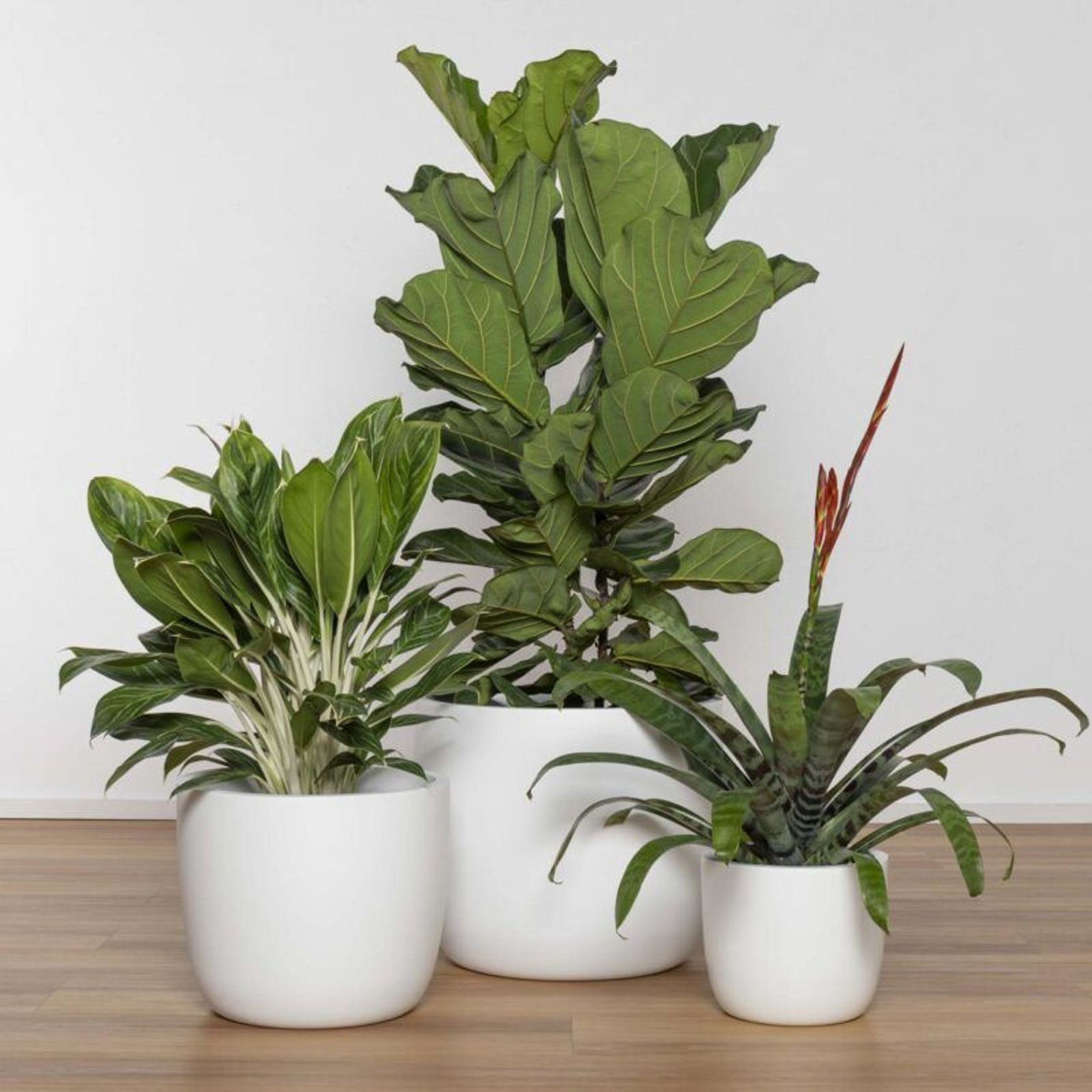 Alesund U Cup gallery detail image