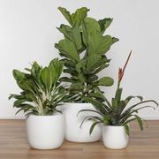 Alesund U Cup gallery detail image