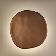 Amoeba Wall Light gallery detail image