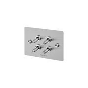 4 Gang Toggle Switch gallery detail image