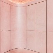 Arlu® (Argenta) Pivotica Pro 100 FM F0 gallery detail image