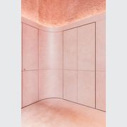 Arlu® (Argenta) Pivotica Pro 100 FM F0 gallery detail image