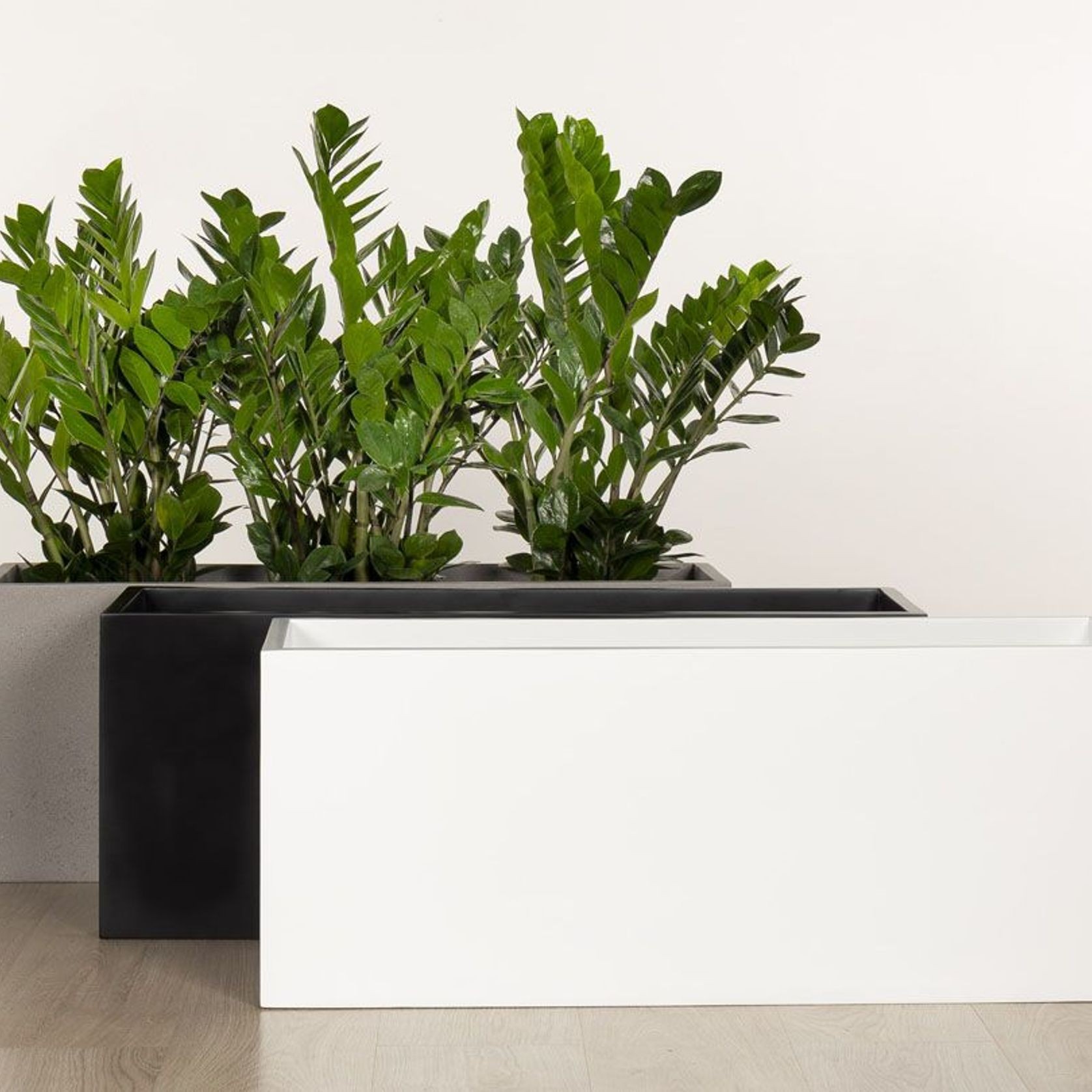 Auchenflower Trough gallery detail image