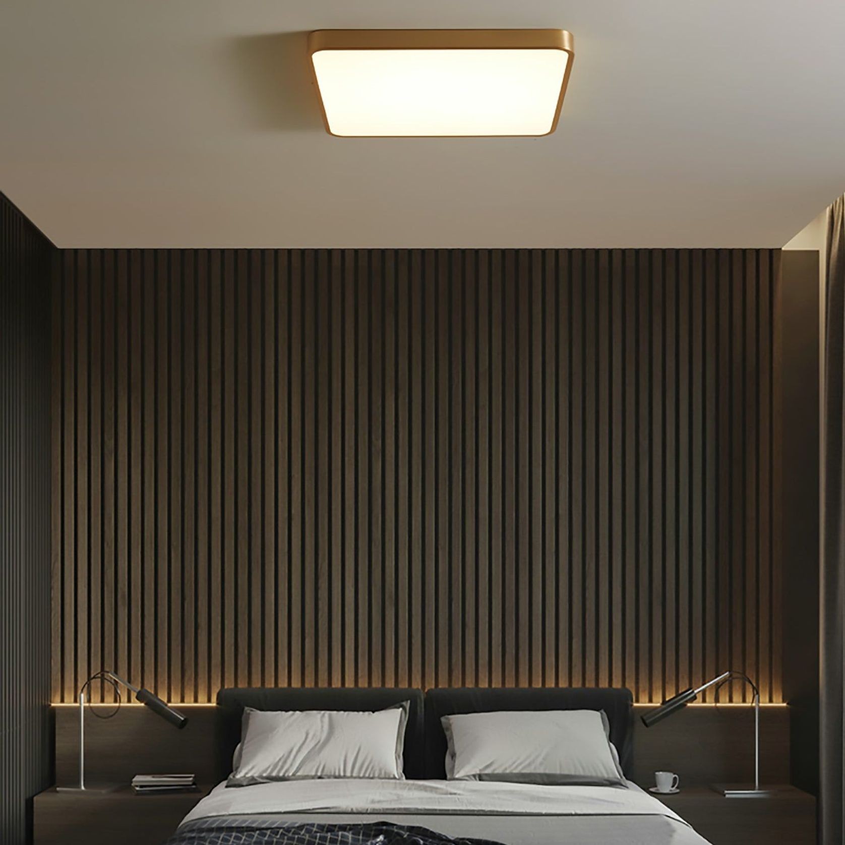 Plano Ceiling Light gallery detail image