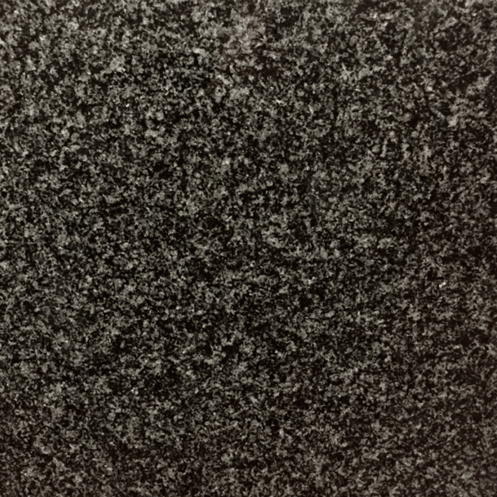 Africa Grey gallery detail image