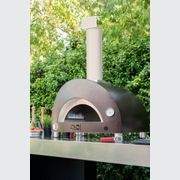 Alfa One Nano Gas Fired Pizza Oven gallery detail image