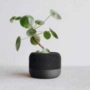 Apple Black Planter gallery detail image