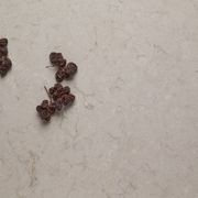 Quantum Zero | Argento gallery detail image